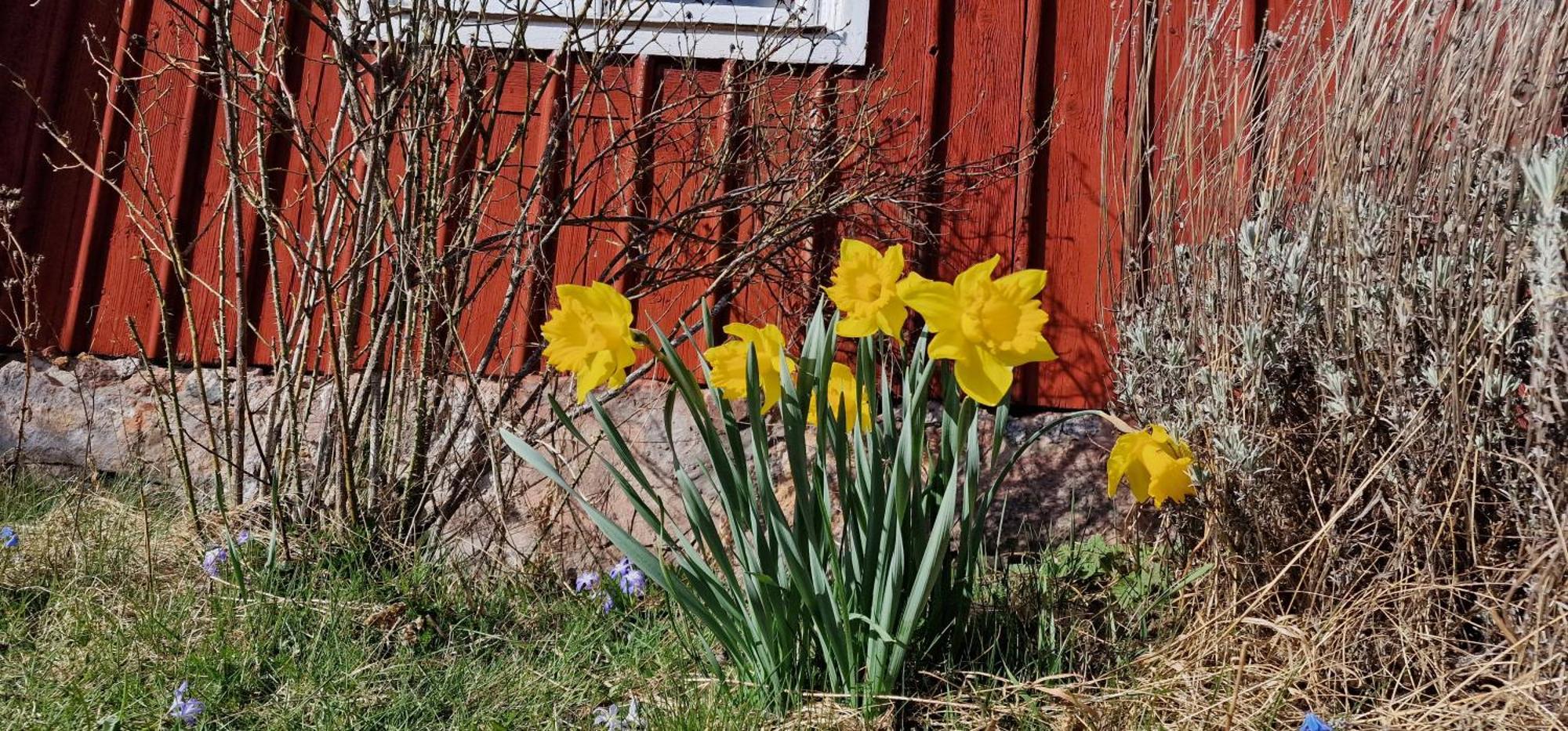 Lillans B&B Orebro Exterior photo