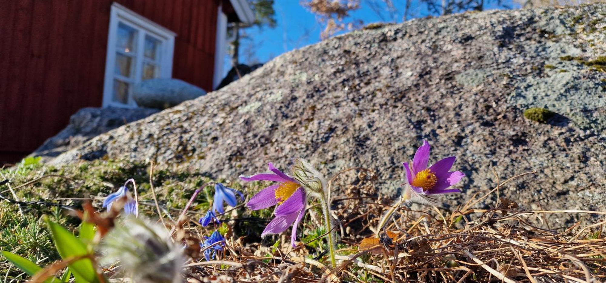 Lillans B&B Orebro Exterior photo